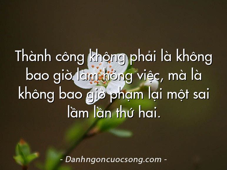 Thành công không phải là không bao giờ làm hỏng việc, mà là không bao giờ phạm lại một sai lầm lần thứ hai.