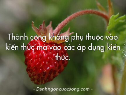 Thành công không phụ thuộc vào kiến thức mà vào các áp dụng kiến thức.