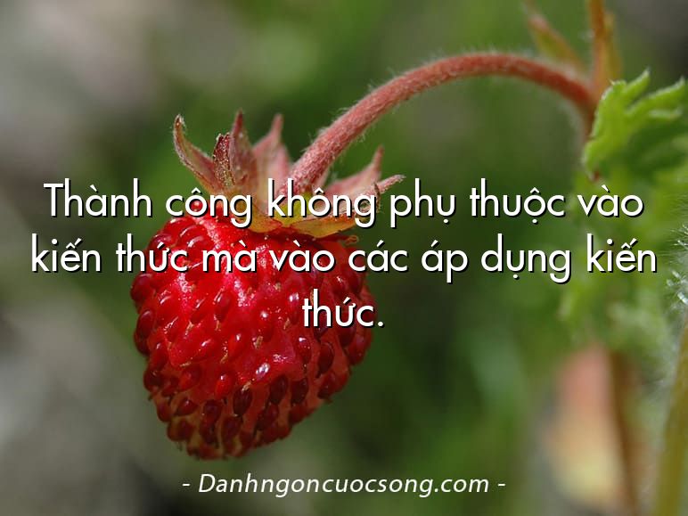 Thành công không phụ thuộc vào kiến thức mà vào các áp dụng kiến thức.