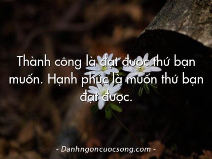 Thành công là đạt được thứ bạn muốn. Hạnh phúc là muốn thứ bạn đạt được.