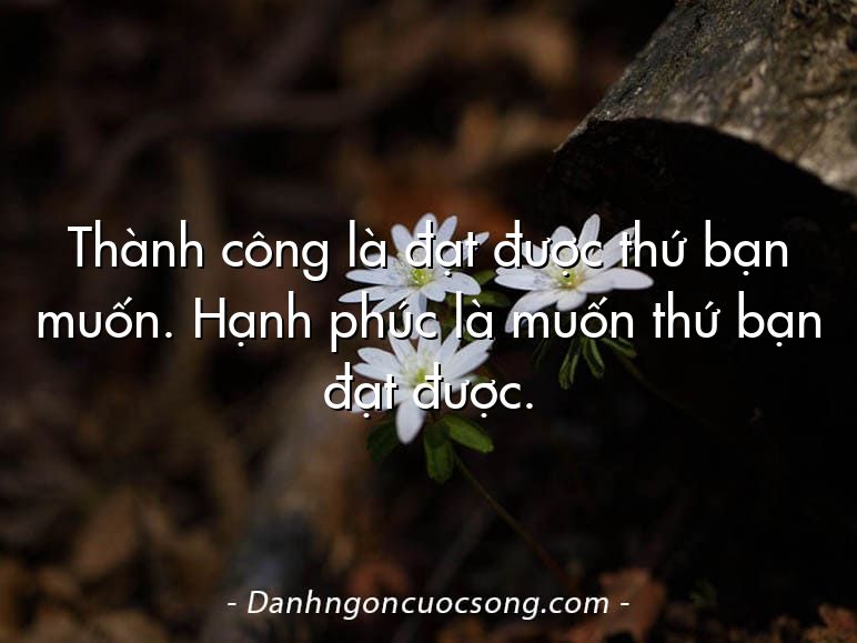 Thành công là đạt được thứ bạn muốn. Hạnh phúc là muốn thứ bạn đạt được.