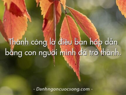 Thành công là điều bạn hấp dẫn bằng con người mình đã trở thành.
