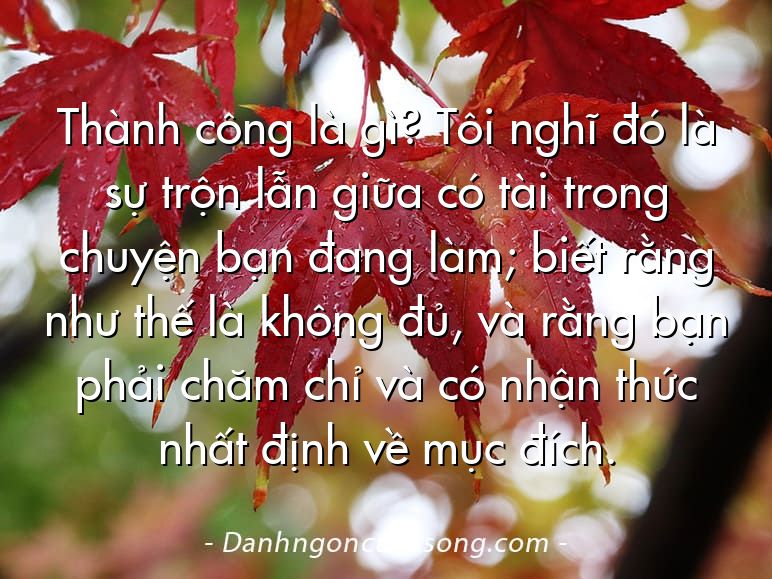 Thành công là gì? Tôi nghĩ đó là sự trộn lẫn giữa có tài trong chuyện bạn đang làm; biết rằng như thế là không đủ, và rằng bạn phải chăm chỉ và có nhận thức nhất định về mục đích.
