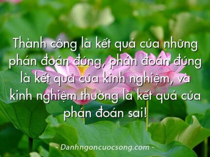 Thành công là kết quả của những phán đoán đúng, phán đoán đúng là kết quả của kinh nghiệm, và kinh nghiệm thường là kết quả của phán đoán sai!