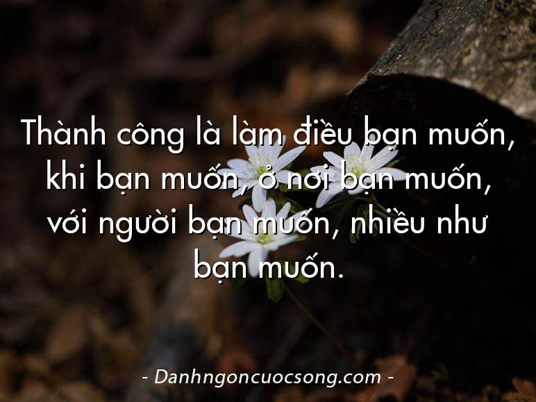 Thành công là làm điều bạn muốn, khi bạn muốn, ở nơi bạn muốn, với người bạn muốn, nhiều như bạn muốn.