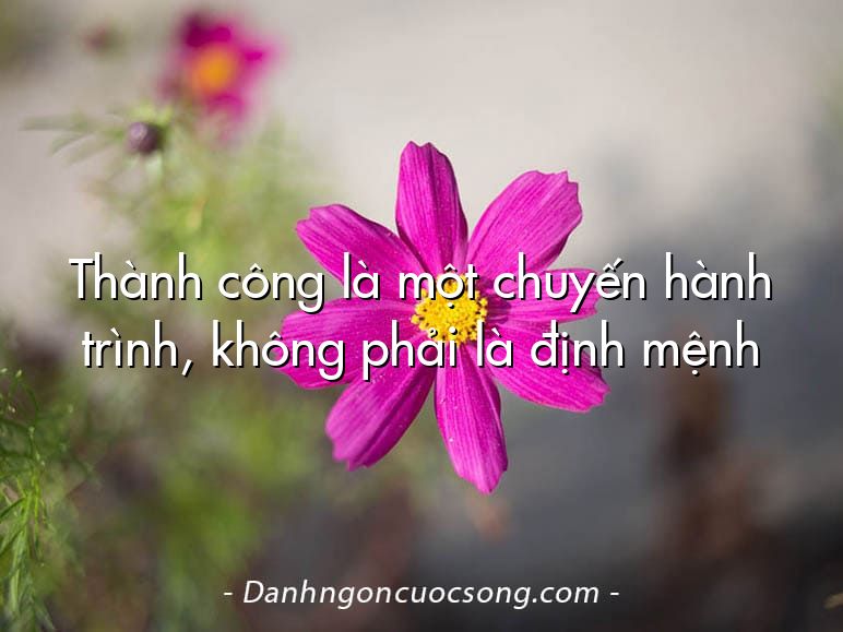 Thành công là một chuyến hành trình, không phải là định mệnh