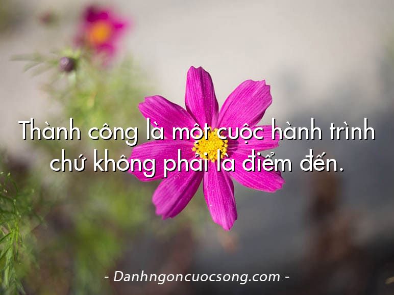 Thành công là một cuộc hành trình chứ không phải là điểm đến.