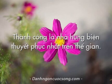 Thành công là nhà hùng biện thuyết phục nhất trên thế gian.