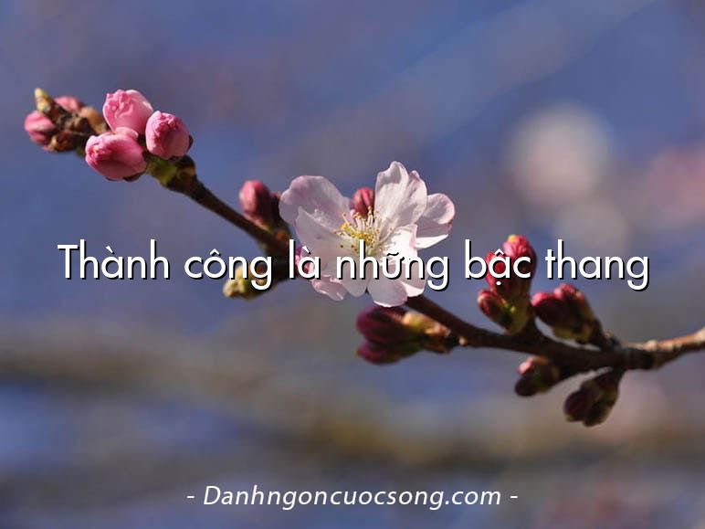 Thành công là những bậc thang