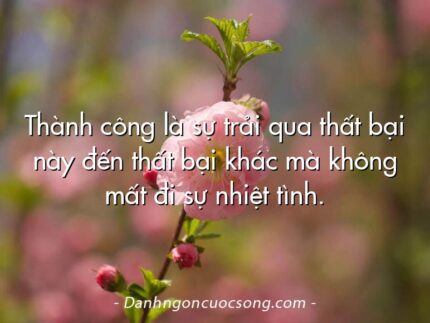 Thành công là sự trải qua thất bại này đến thất bại khác mà không mất đi sự nhiệt tình.