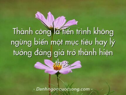Thành công là tiến trình không ngừng biến một mục tiêu hay lý tưởng đáng giá trở thành hiện thực.