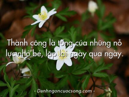 Thành công là tổng của những nỗ lực nhỏ bé, lặp lại ngày qua ngày.