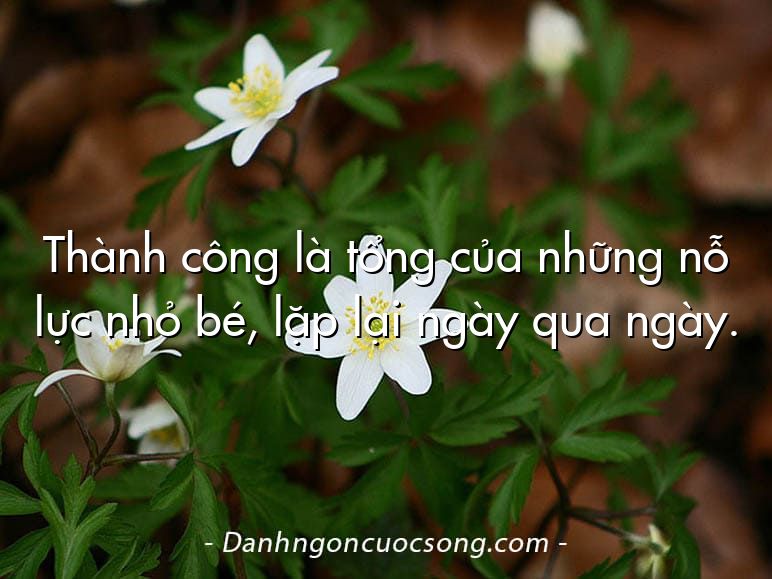 Thành công là tổng của những nỗ lực nhỏ bé, lặp lại ngày qua ngày.