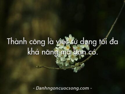 Thành công là việc sử dụng tối đa khả năng mà bạn có.