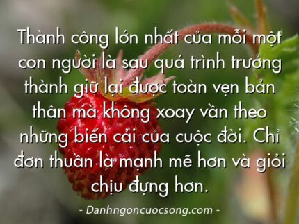Thành công lớn nhất của mỗi một con người là sau quá trình trưởng thành giữ lại được toàn vẹn bản thân mà không xoay vần theo những biến cải của cuộc đời. Chỉ đơn thuần là mạnh mẽ hơn và giỏi chịu đựng hơn.