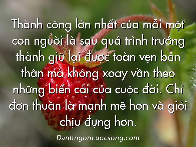 Thành công lớn nhất của mỗi một con người là sau quá trình trưởng thành giữ lại được toàn vẹn bản thân mà không xoay vần theo những biến cải của cuộc đời. Chỉ đơn thuần là mạnh mẽ hơn và giỏi chịu đựng hơn.