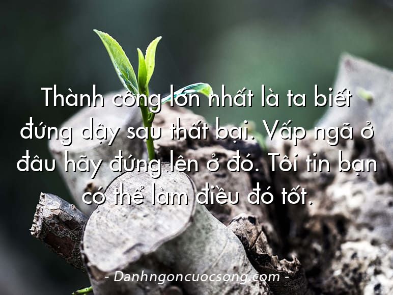 Thành công lớn nhất là ta biết đứng dậy sau thất bại. Vấp ngã ở đâu hãy đứng lên ở đó. Tôi tin bạn có thể làm điều đó tốt.
