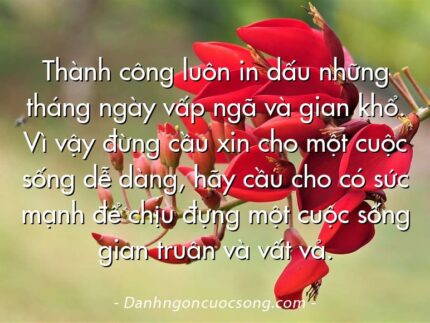 Thành công luôn in dấu những tháng ngày vấp ngã và gian khổ. Vì vậy đừng cầu xin cho một cuộc sống dễ dàng, hãy cầu cho có sức mạnh để chịu đựng một cuộc sống gian truân và vất vả.