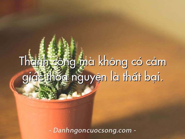 Thành công mà không có cảm giác thỏa nguyện là thất bại.