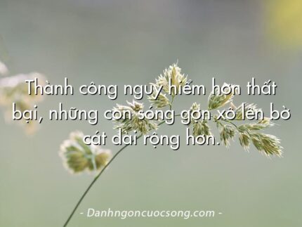 Thành công nguy hiểm hơn thất bại, những con sóng gợn xô lên bờ cát dài rộng hơn.