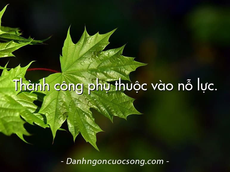 Thành công phụ thuộc vào nỗ lực.