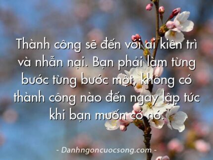 Thành công sẽ đến với ai kiên trì và nhẫn nại. Bạn phải làm từng bước từng bước một, không có thành công nào đến ngay lập tức khi bạn muốn có nó.