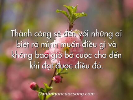 Thành công sẽ đến với những ai biết rõ mình muốn điều gì và không bao giờ bỏ cuộc cho đến khi đạt được điều đó.