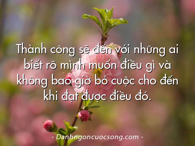 Thành công sẽ đến với những ai biết rõ mình muốn điều gì và không bao giờ bỏ cuộc cho đến khi đạt được điều đó.