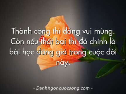 Thành công thì đáng vui mừng. Còn nếu thất bại thì đó chính là bài học đáng giá trong cuộc đời này.