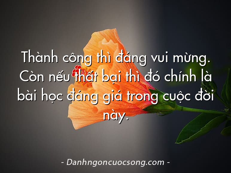 Thành công thì đáng vui mừng. Còn nếu thất bại thì đó chính là bài học đáng giá trong cuộc đời này.