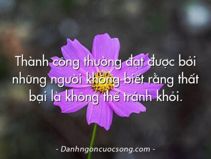 Thành công thường đạt được bởi những người không biết rằng thất bại là không thể tránh khỏi.