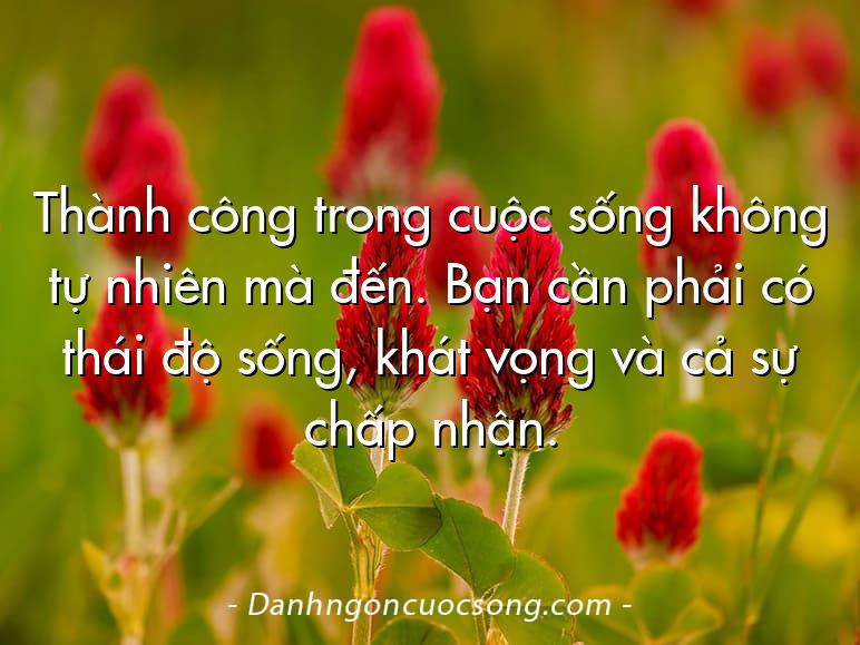 Thành công trong cuộc sống không tự nhiên mà đến. Bạn cần phải có thái độ sống, khát vọng và cả sự chấp nhận.