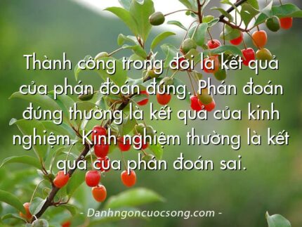 Thành công trong đời là kết quả của phán đoán đúng. Phán đoán đúng thường là kết quả của kinh nghiệm. Kinh nghiệm thường là kết quả của phán đoán sai.