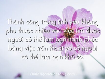 Thành công trong tình yêu không phụ thuộc nhiều vào việc tìm được người có thể làm bạn hạnh phúc bằng việc trốn thoát vô số người có thể làm bạn khổ sở.