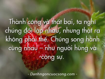 Thành công và thất bại, ta nghĩ chúng đối lập nhau, nhưng thật ra không phải thế. Chúng song hành cùng nhau – như người hùng và cộng sự.