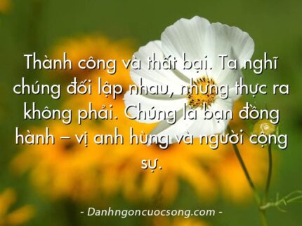 Thành công và thất bại. Ta nghĩ chúng đối lập nhau, nhưng thực ra không phải. Chúng là bạn đồng hành – vị anh hùng và người cộng sự.