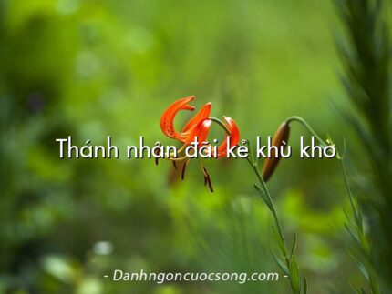 Thánh nhân đãi kẻ khù khờ