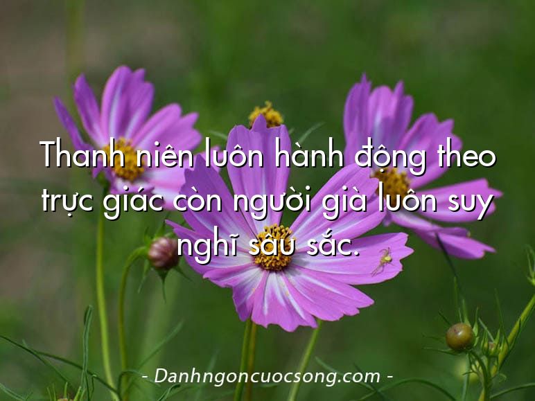Thanh niên luôn hành động theo trực giác còn người già luôn suy nghĩ sâu sắc.