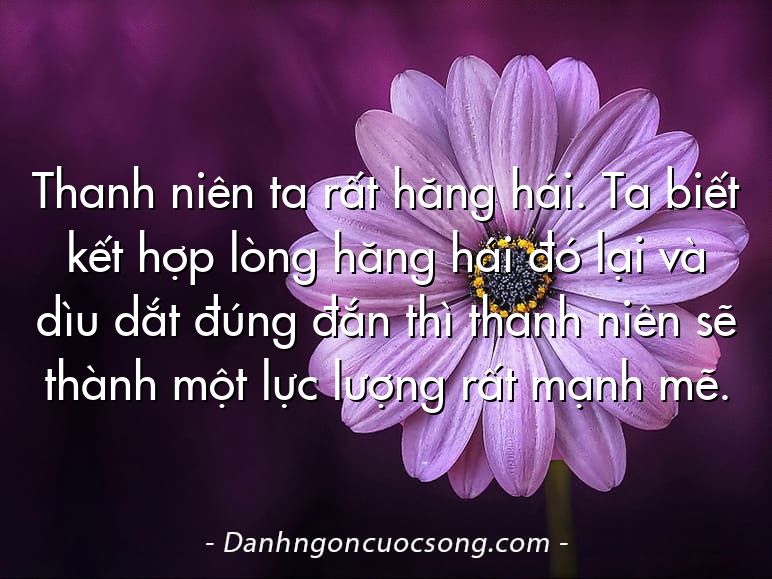 Thanh niên ta rất hăng hái. Ta biết kết hợp lòng hăng hái đó lại và dìu dắt đúng đắn thì thanh niên sẽ thành một lực lượng rất mạnh mẽ.