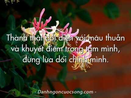 Thành thật đối diện với mâu thuẫn và khuyết điểm trong tâm mình, đừng lừa dối chính mình.