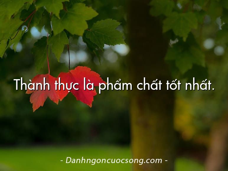 Thành thực là phẩm chất tốt nhất.
