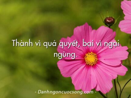 Thành vì quả quyết, bại vì ngại ngùng.