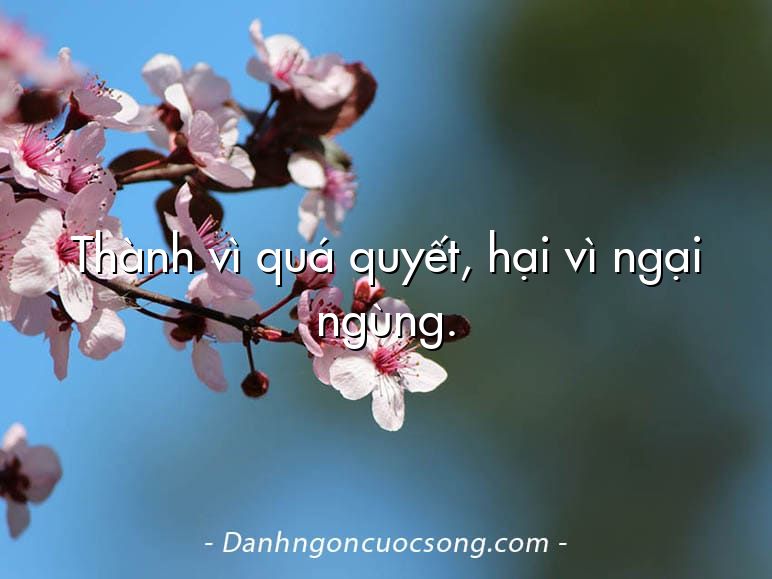 Thành vì quá quyết, hại vì ngại ngùng.