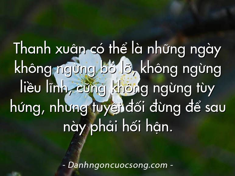 Thanh xuân có thể là những ngày không ngừng bỏ lỡ, không ngừng liều lĩnh, cũng không ngừng tùy hứng, nhưng tuyệt đối đừng để sau này phải hối hận.