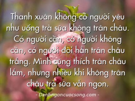 Thanh xuân không có người yêu như uống trà sữa không trân châu. Có người cần, có người không cần, có người đòi hẳn trân châu trắng. Mình cũng thích trân châu lắm, nhưng nhiều khi không trân châu trà sữa vẫn ngon.