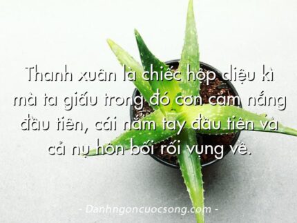 Thanh xuân là chiếc hộp diệu kì mà ta giấu trong đó cơn cảm nắng đầu tiên, cái nắm tay đầu tiên và cả nụ hôn bối rối vụng về.