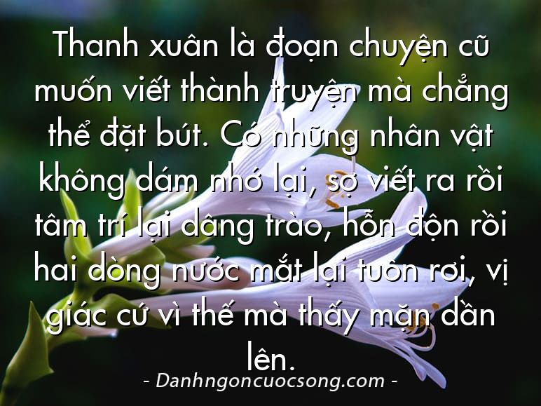 Thanh xuân là đoạn chuyện cũ muốn viết thành truyện mà chẳng thể đặt bút. Có những nhân vật không dám nhớ lại, sợ viết ra rồi tâm trí lại dâng trào, hỗn độn rồi hai dòng nước mắt lại tuôn rơi, vị giác cứ vì thế mà thấy mặn dần lên.