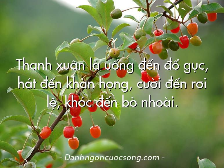 Thanh xuân là uống đến đổ gục, hát đến khàn họng, cười đến rơi lệ, khóc đến bò nhoài.