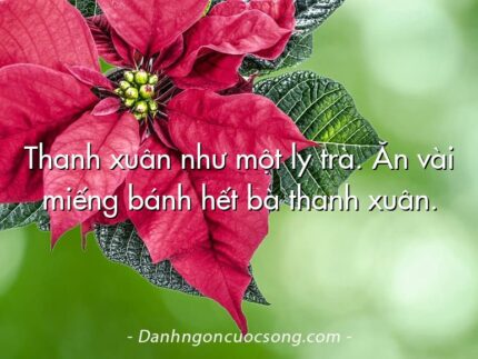Thanh xuân như một ly trà. Ăn vài miếng bánh hết bà thanh xuân.