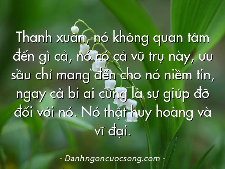 Thanh xuân, nó không quan tâm đến gì cả, nó có cả vũ trụ này, ưu sầu chỉ mang đến cho nó niềm tin, ngay cả bi ai cũng là sự giúp đỡ đối với nó. Nó thật huy hoàng và vĩ đại.